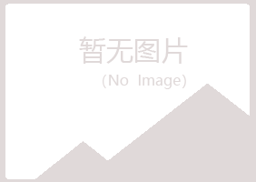 鹤岗兴山纯净造纸有限公司